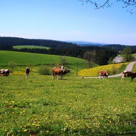 Sonnenwinkel 3